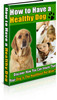 Thumbnail  Healthy Dog - Insure Your Dog Is A Healthy Pet/MRR