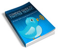 Thumbnail Complete Guide to twitter Traffic/PLR