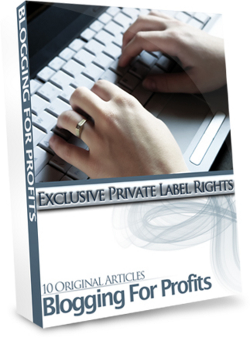 Product picture Blogging For Profits/PLR