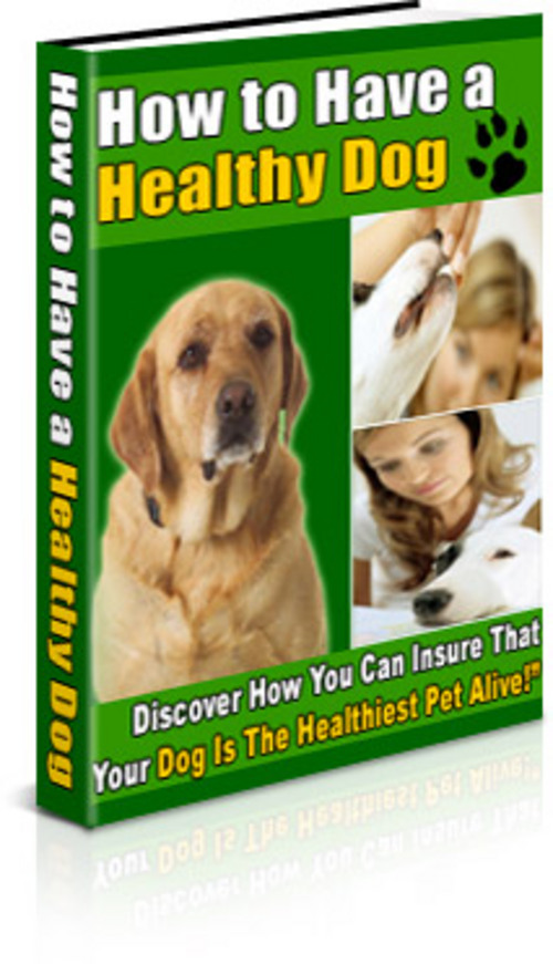 Product picture  Healthy Dog - Insure Your Dog Is A Healthy Pet/MRR