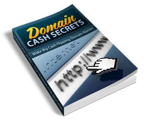 Product picture new Domain Cash Secrets Flipping