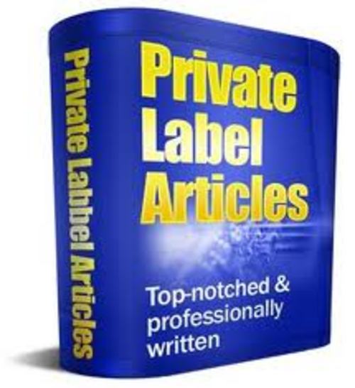 Product picture Article Pack plr/5000 plr article