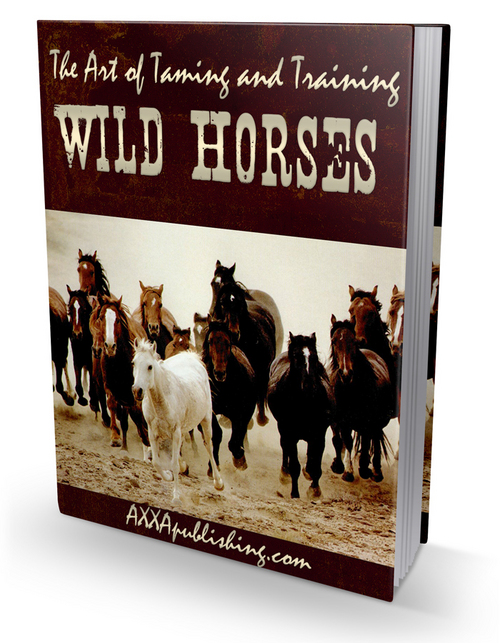 Product picture Wild Horses/ PLR