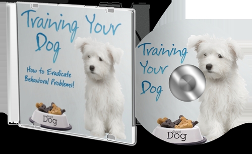 Product picture Training  Your Dog MRR